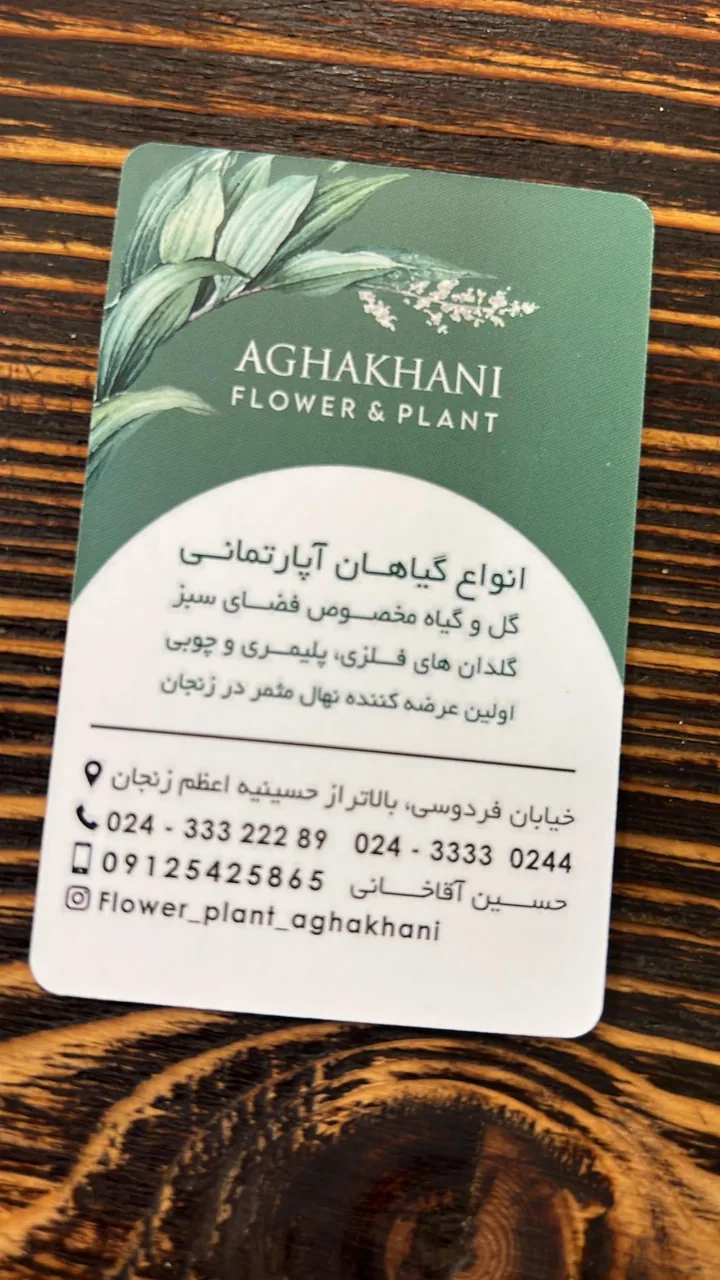 گل و گیاه آقاخانی - تصویر 2