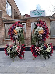 تهران گل