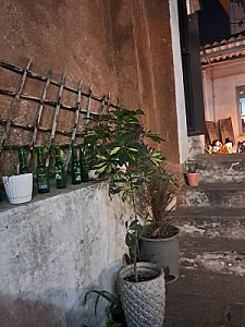 یک فنجان کتاب