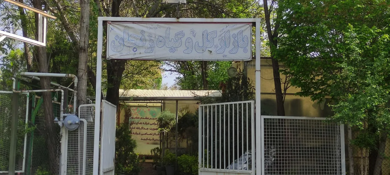 بازار گل و گیاه زنجان - گل و گیاهان زینتی در زنجان