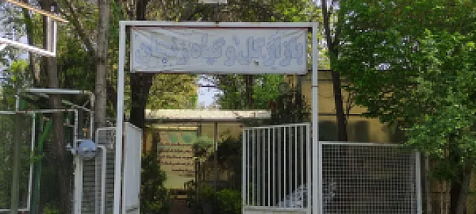 بازار گل و گیاه زنجان