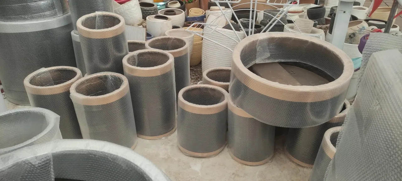 بازار گل و گیاه زنجان - گل و گیاهان زینتی در زنجان - تصویر 4