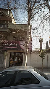 خشکبار و قهوه هامایاک