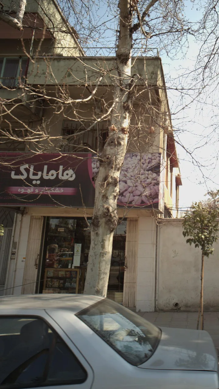 خشکبار و قهوه هامایاک - تصویر 2