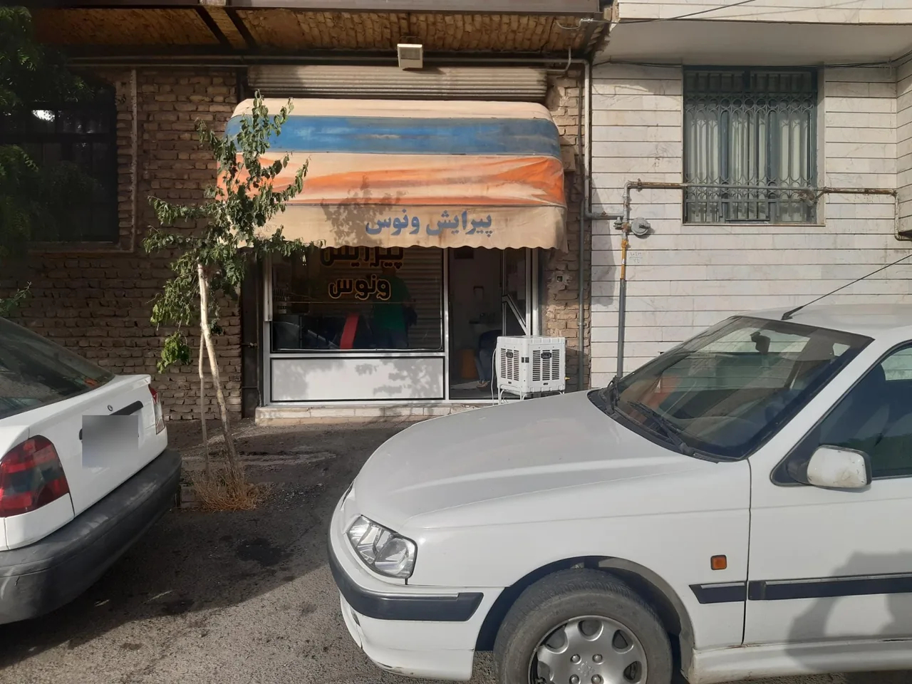 پیرایش ونوس - تصویر 3