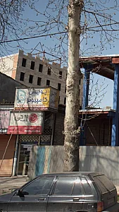 پویش کامپیوتر