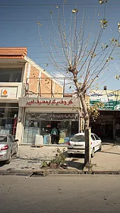 ظروف یکبار مصرف امیر