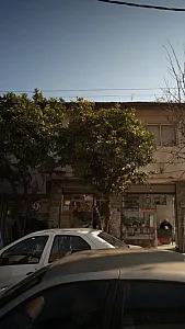پیرایش امیر