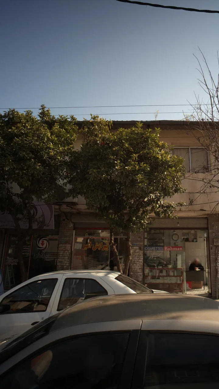 پیرایش امیر