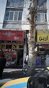 آرایشی مازیار