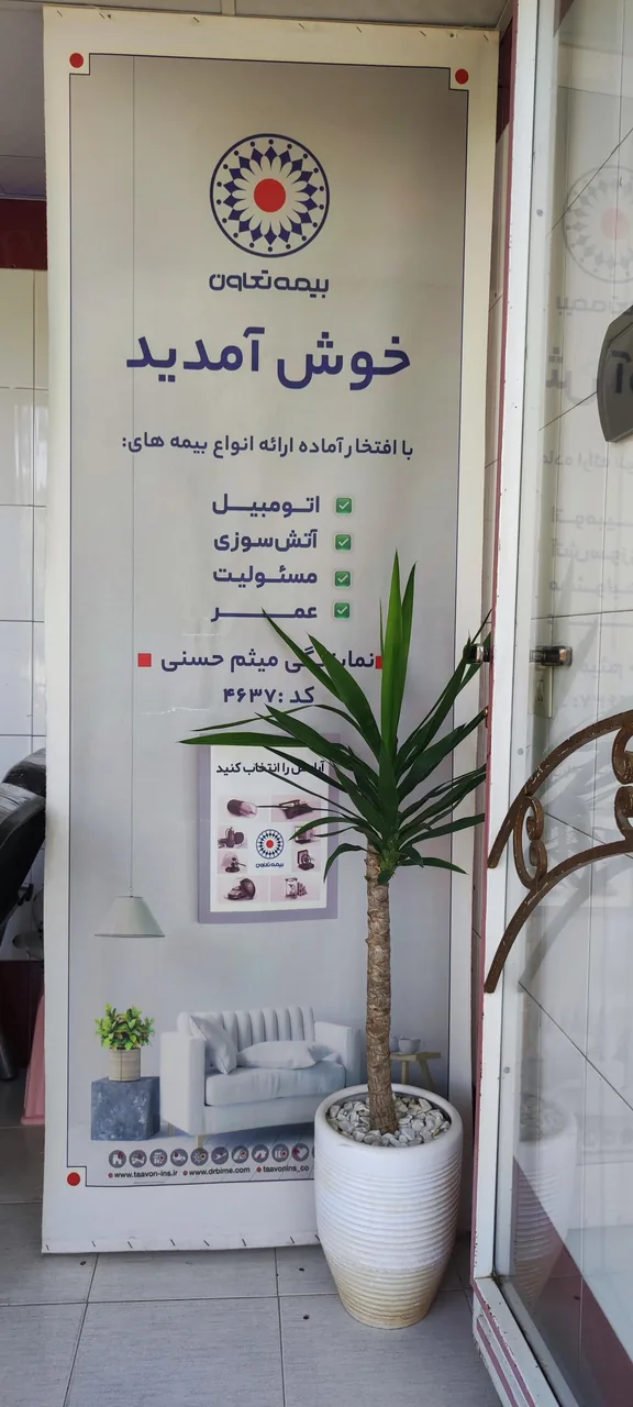 بیمه تعاون نمایندگی میثم حسنی - تصویر 4