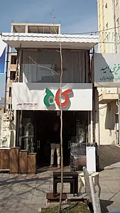 کاج