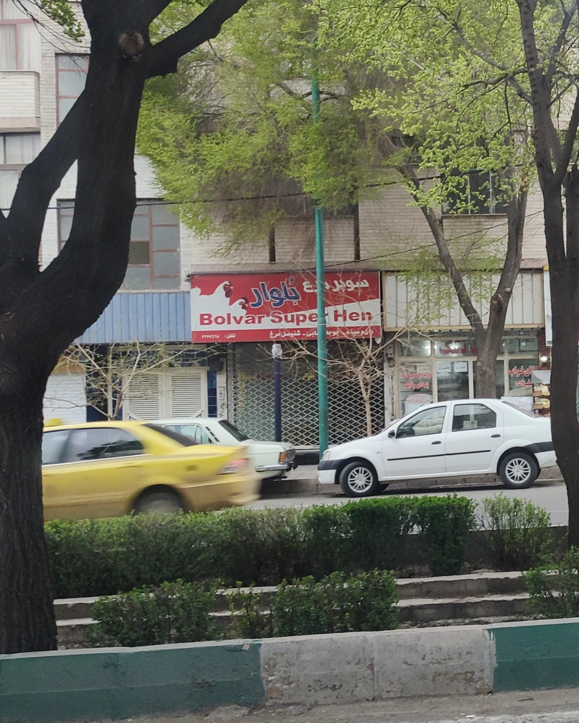 قصابی بهاران - تصویر 2