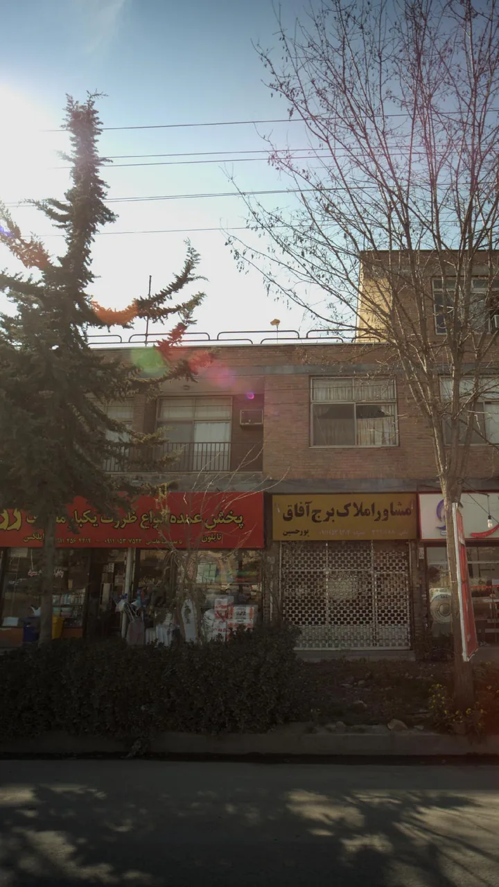 پخش عمده انواع ظروف یکبار مصرف - تصویر 2