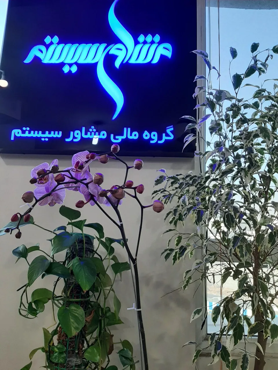 شرکت گروه مالی مشاورسیستم - حسابداری و مشاور مالیاتی در تهران - تصویر 2