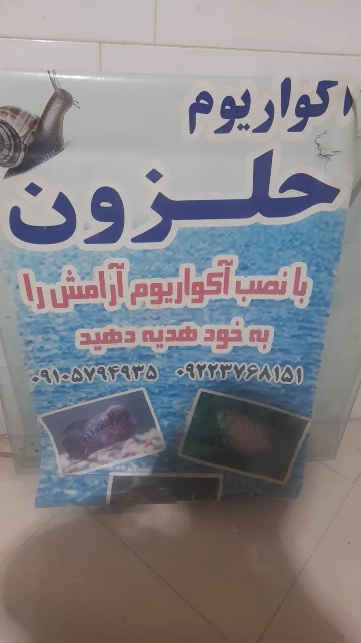 آکواریوم حلزون - تصویر 3