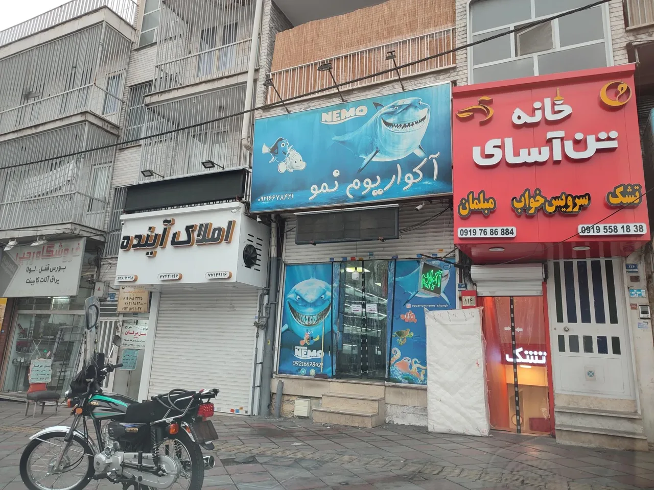 آکواریوم نمو شرق - تصویر 2