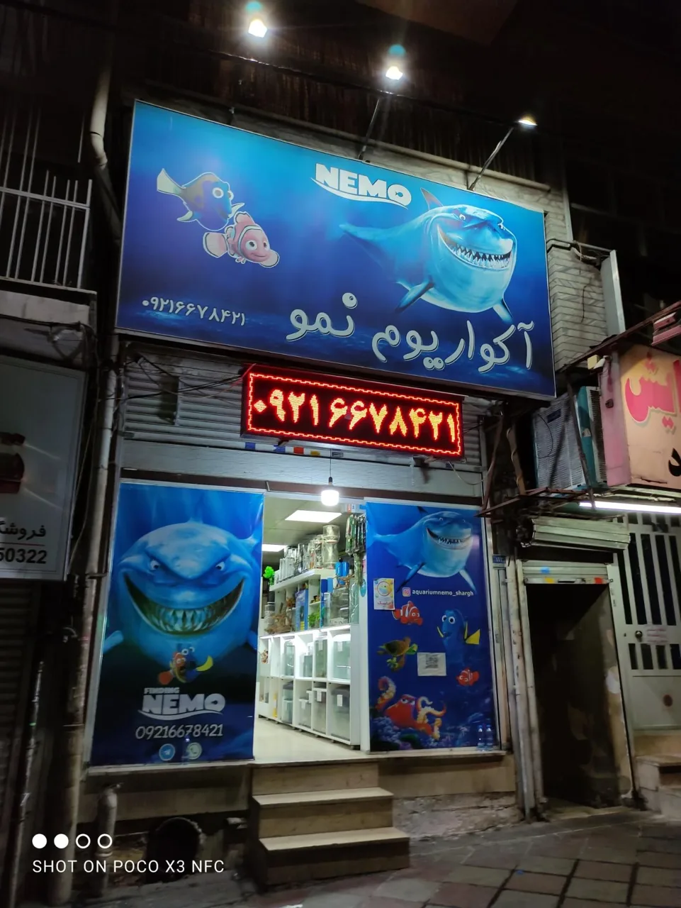 آکواریوم نمو شرق - تصویر 3