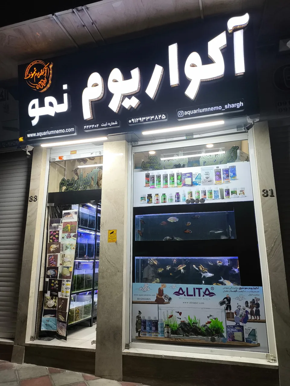 آکواریوم نمو شرق - تصویر 4