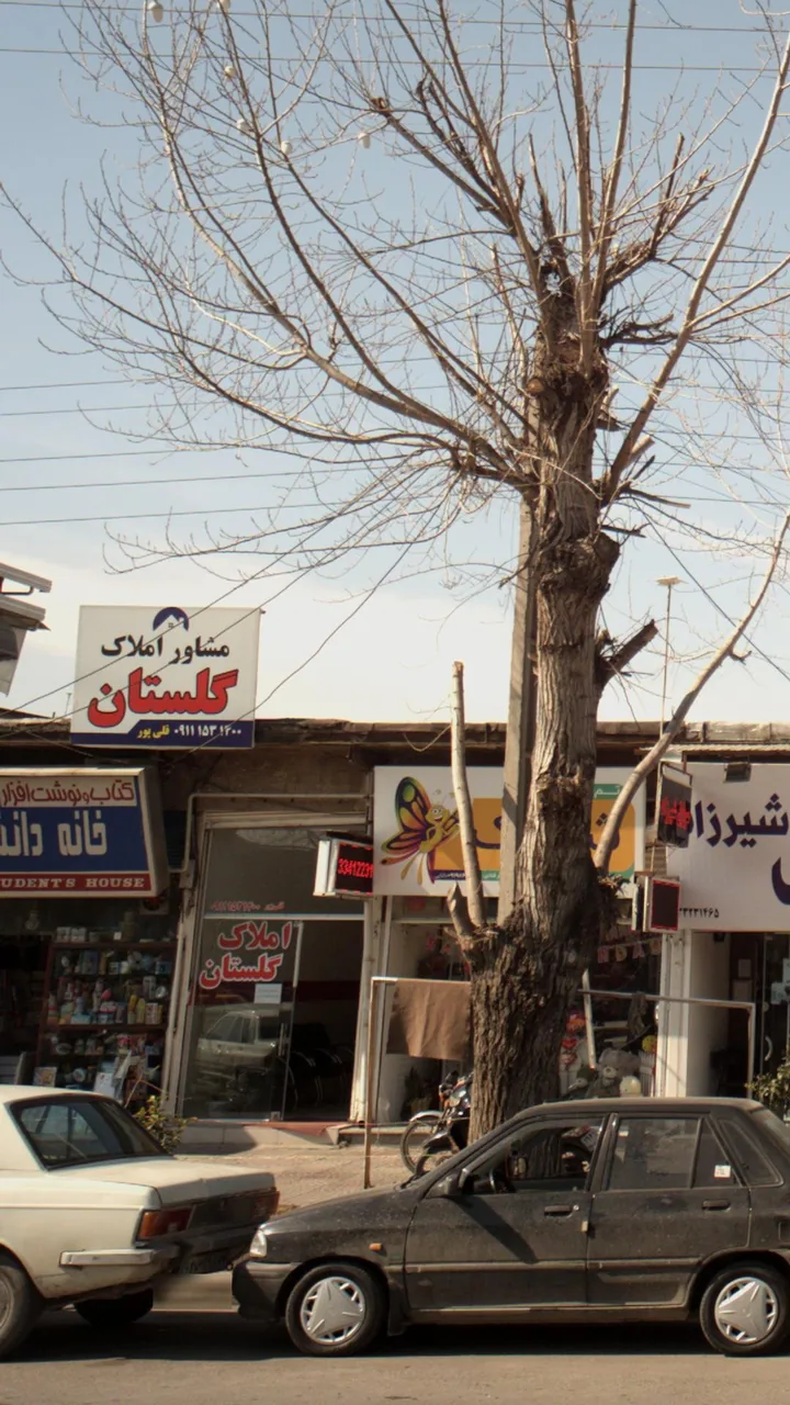 املاک گلستان - تصویر 3