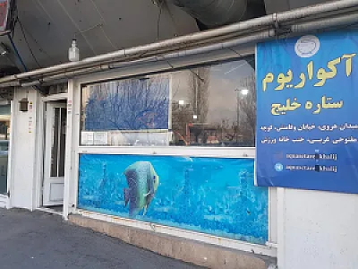 آکواریوم ستاره خلیج