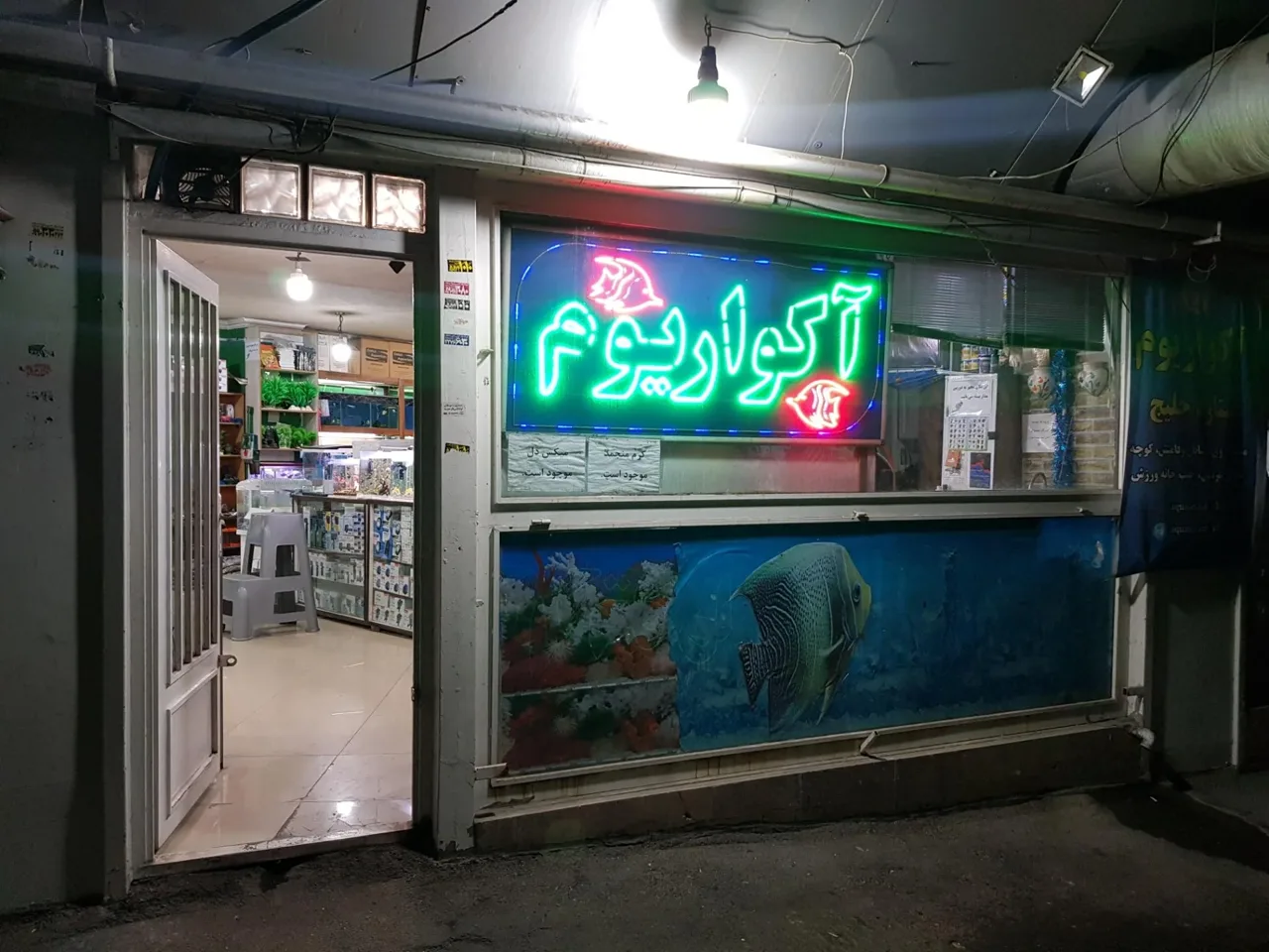 آکواریوم ستاره خلیج - تصویر 2