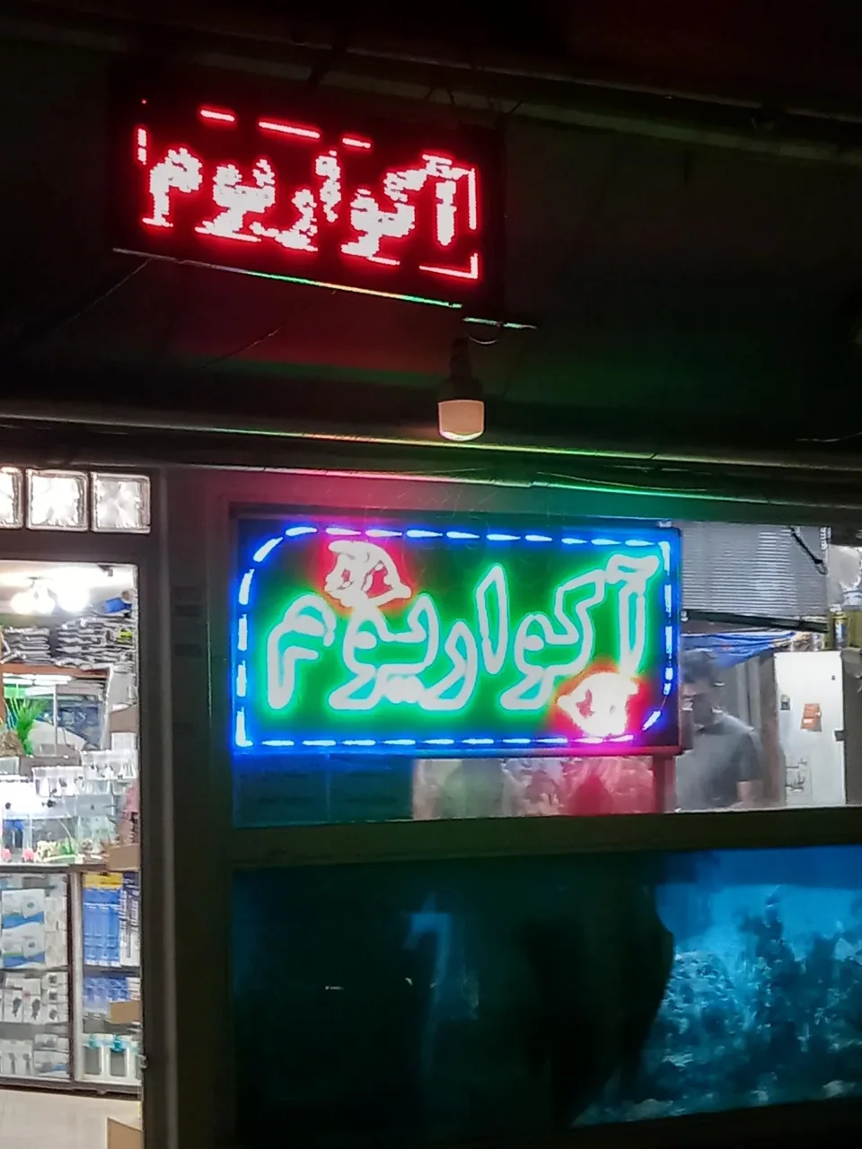 آکواریوم ستاره خلیج - تصویر 3