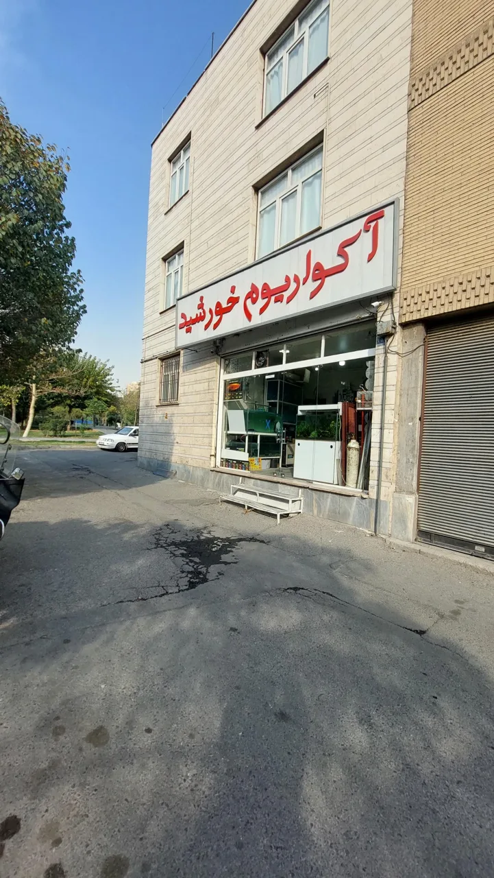 آکواریوم خورشید - تصویر 5