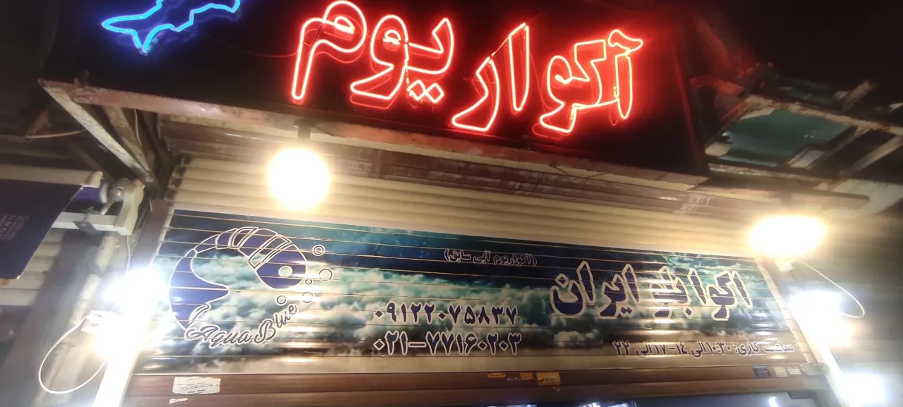 آکواریوم آبی - تصویر 2