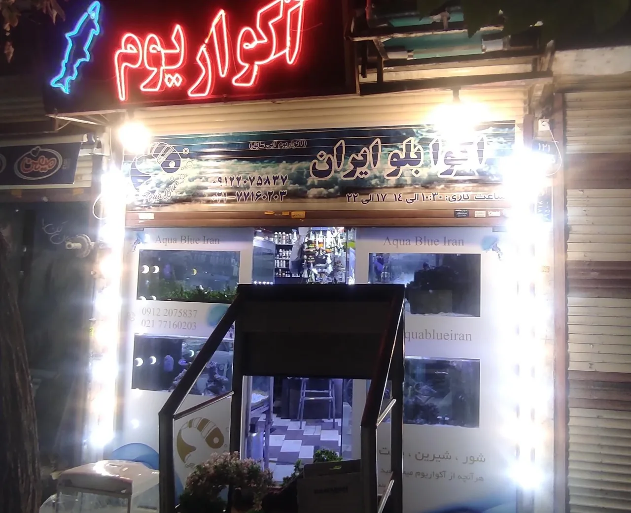 آکواریوم آبی - تصویر 3