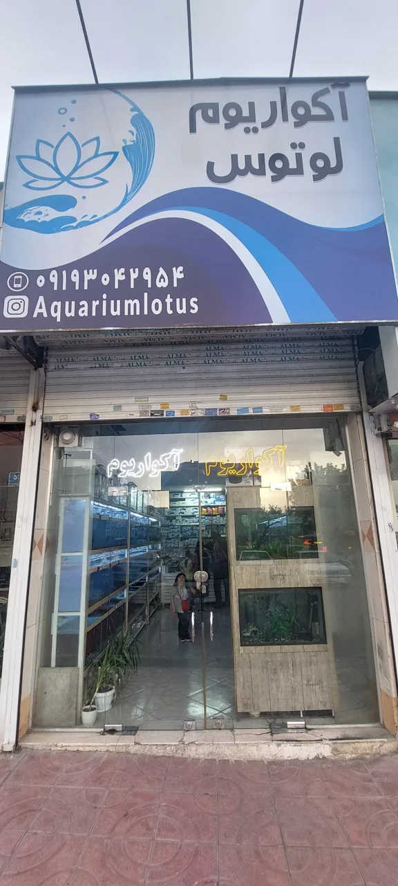 آکواریوم لوتوس