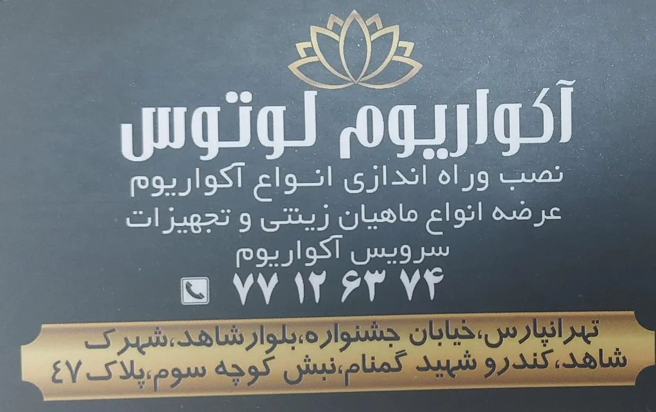 آکواریوم لوتوس - تصویر 4