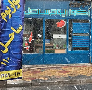 آکواریوم ساحل ۱۱۰