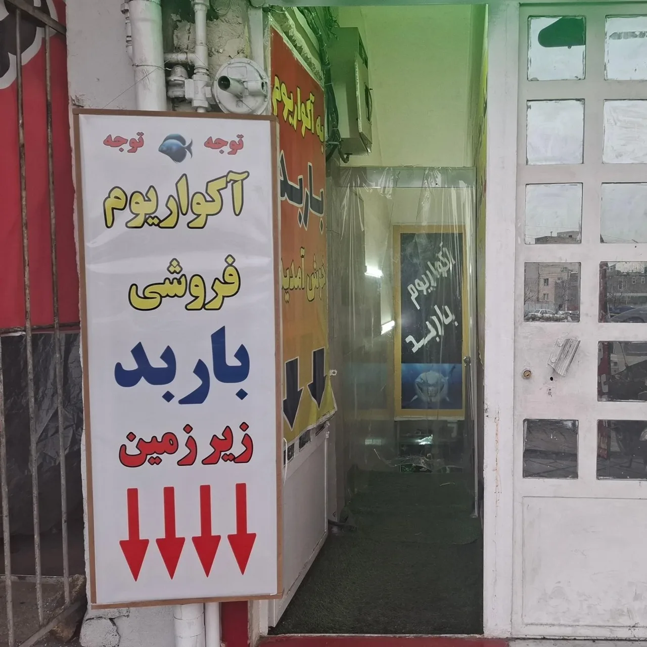 آکواریوم باربد - تصویر 3