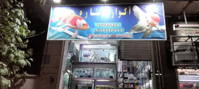 فروشگاه اکواریوم ستاره