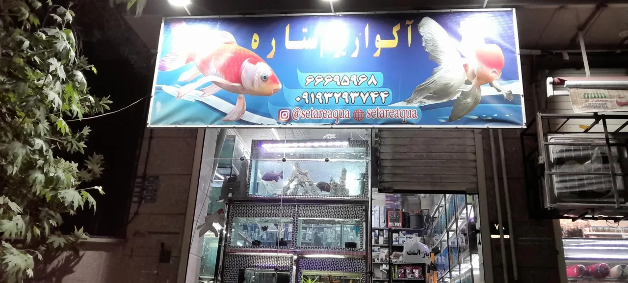 فروشگاه اکواریوم ستاره