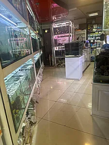 آکواریوم