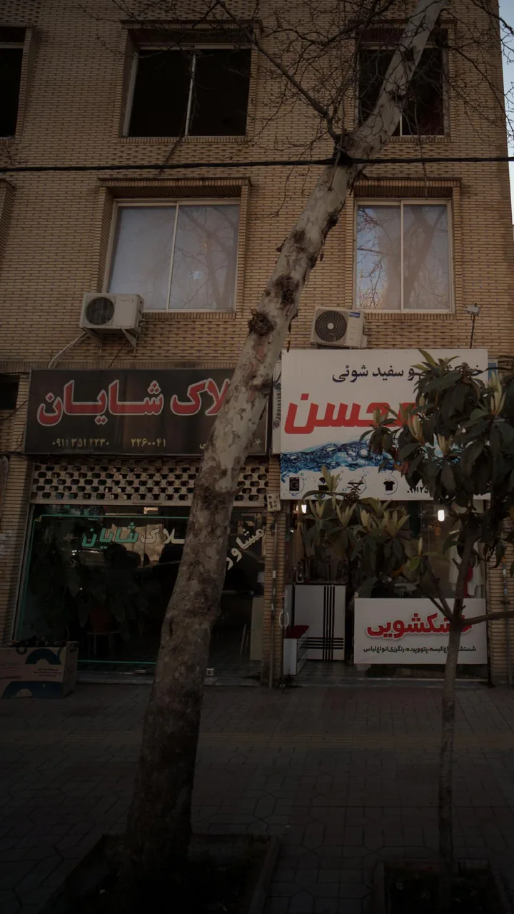 املاک شایان