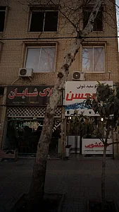 املاک شایان