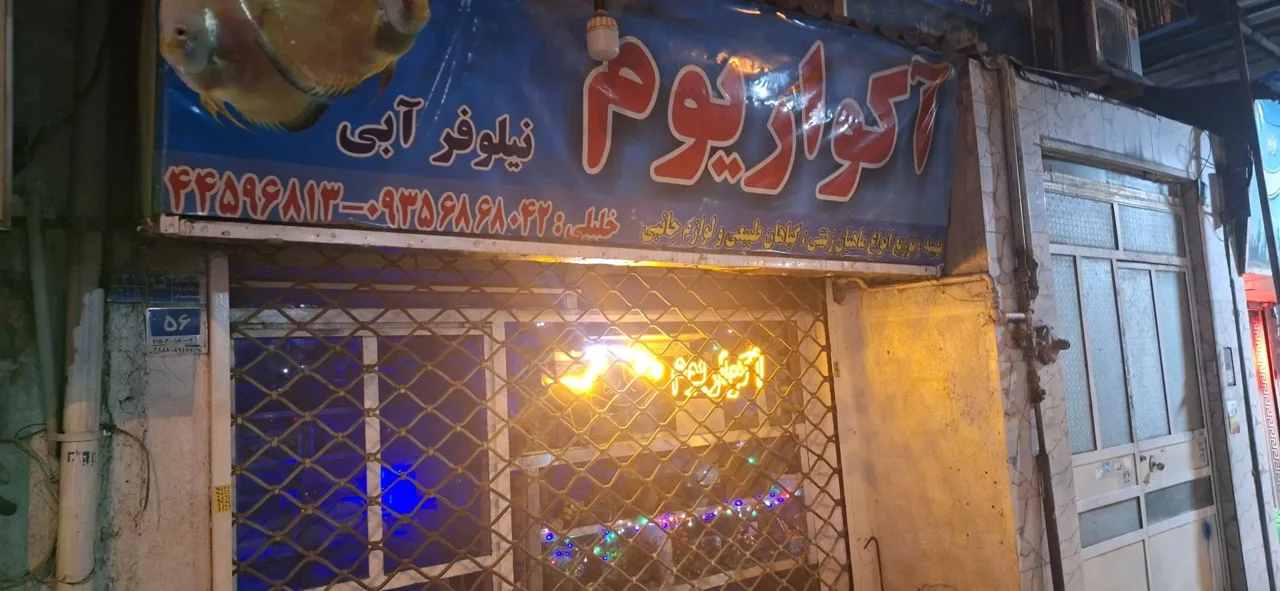 آکواریوم نیلوفر آبی - تصویر 2