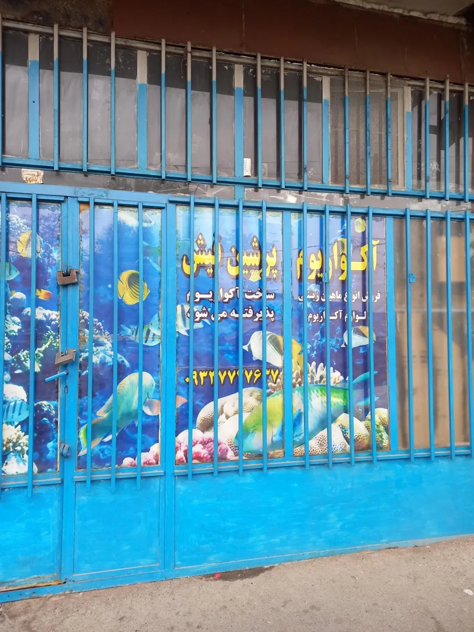 آکواریوم پرشین فیش