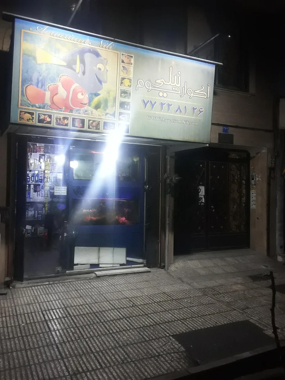 آکواریوم نیلی