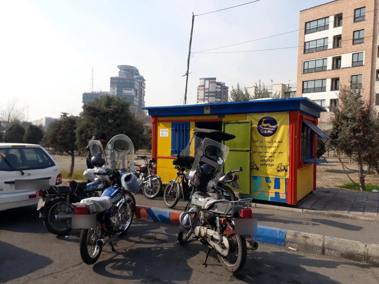 پیک بادپا گیشا - تصویر 5