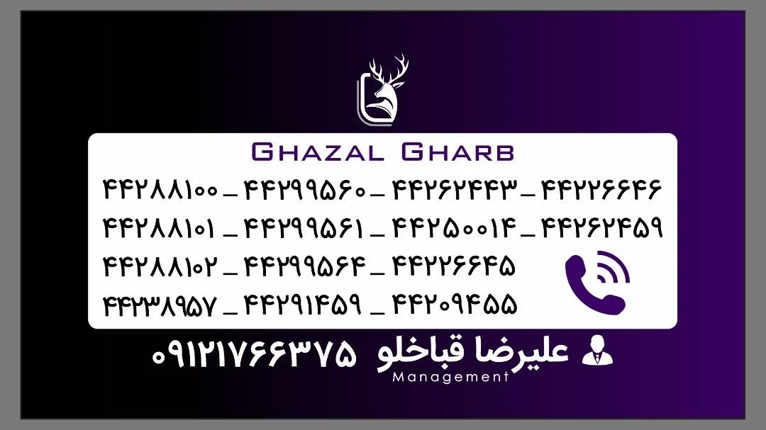 پیک موتوری غزال غرب کد 294 - تصویر 3