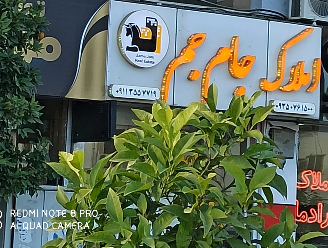 مشاورین املاک جام جم - تصویر 2