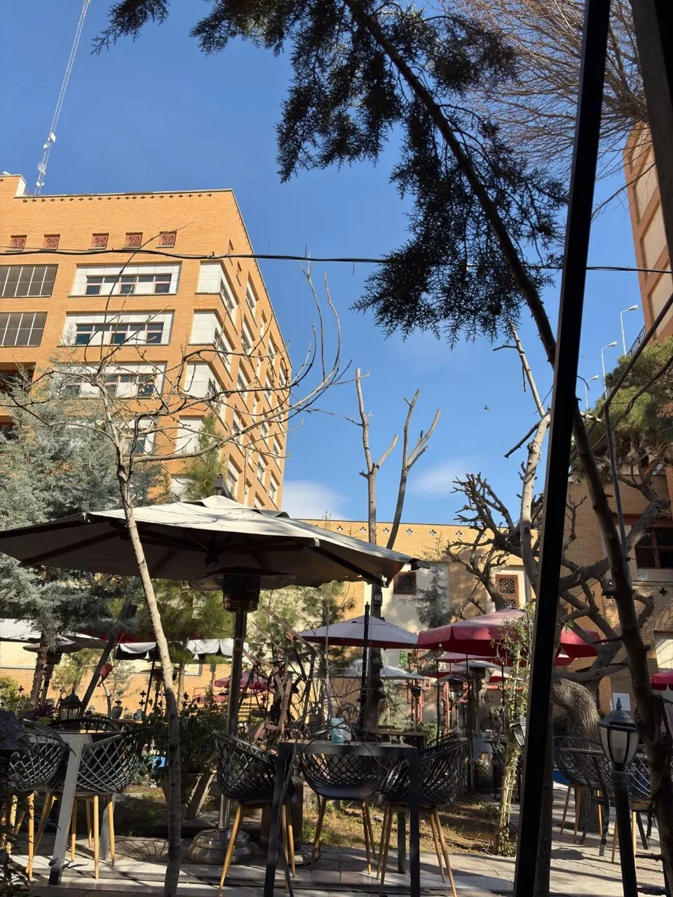 کافه حیات هزار افسان‌ْ - تصویر 3