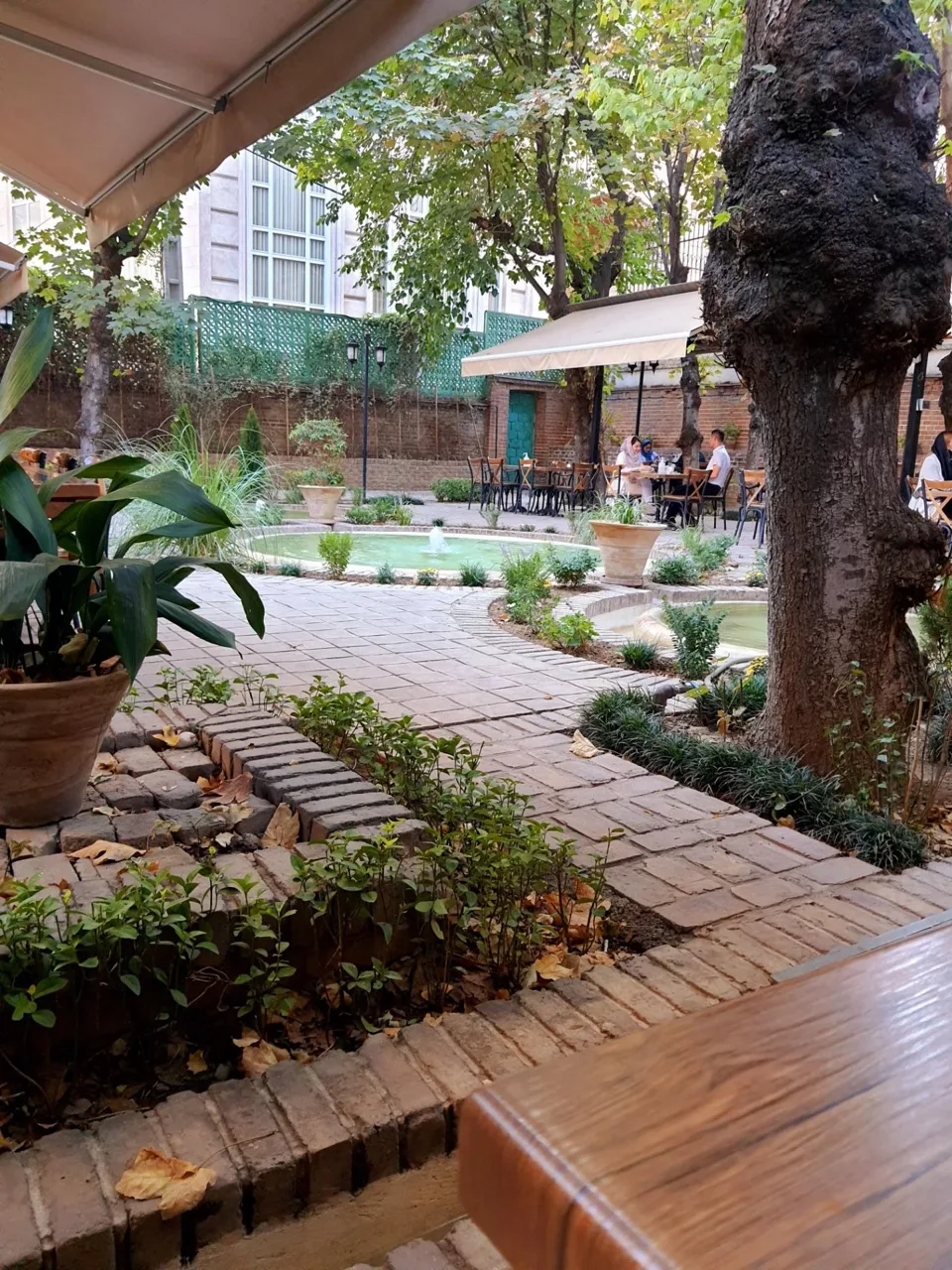 کافه کتاب عمارت روشنان - تصویر 2