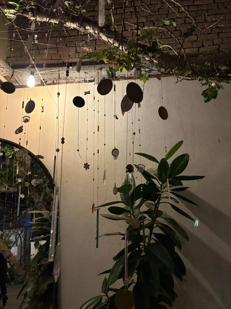 کافه باکارا - تصویر 4