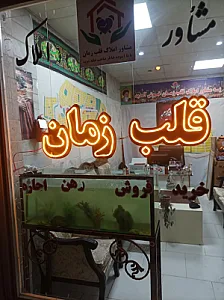 مشاور املاک قلب زمان