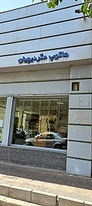 کلینیک تخصصی رنو و نیسان مگردیچیان